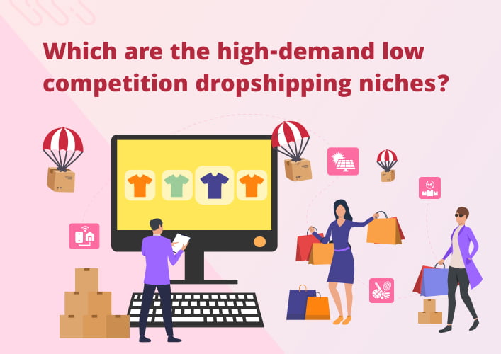 Which are the high-demand low competition dropshipping niches