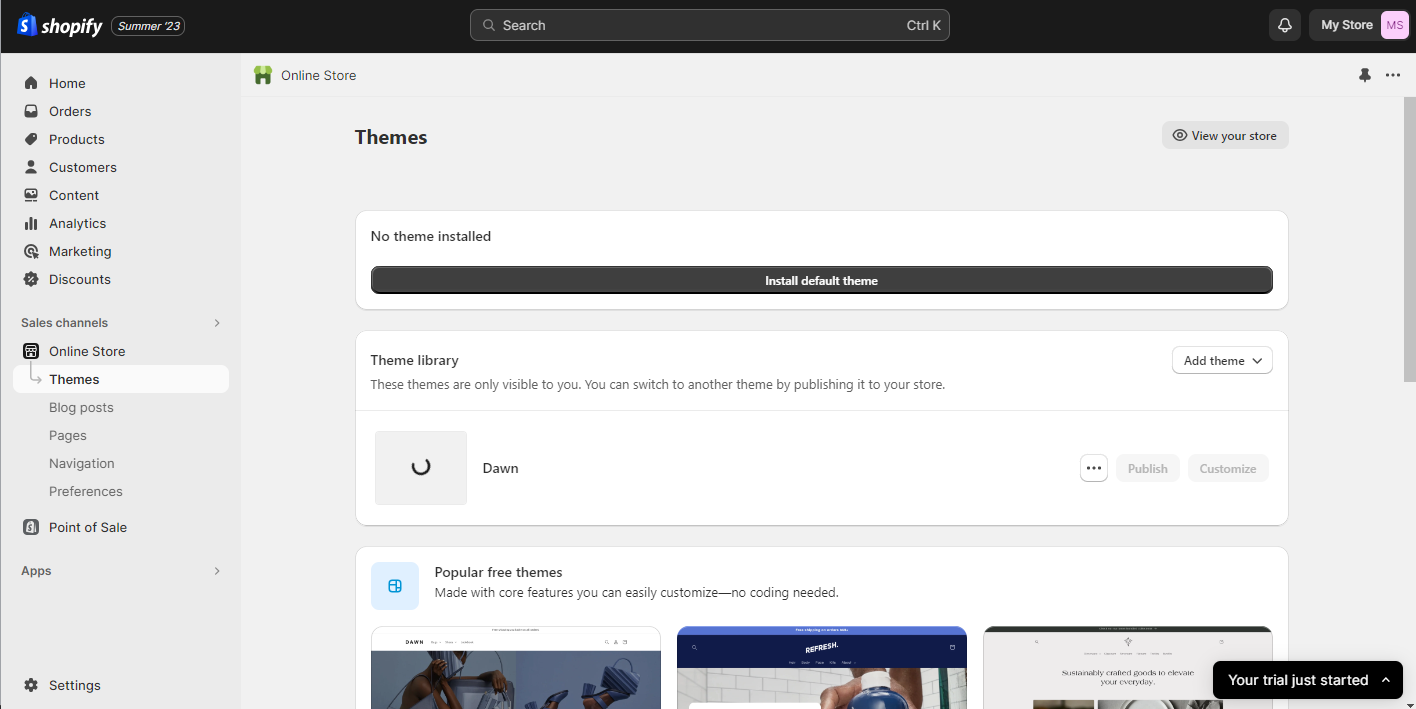 Themes in Shopify store